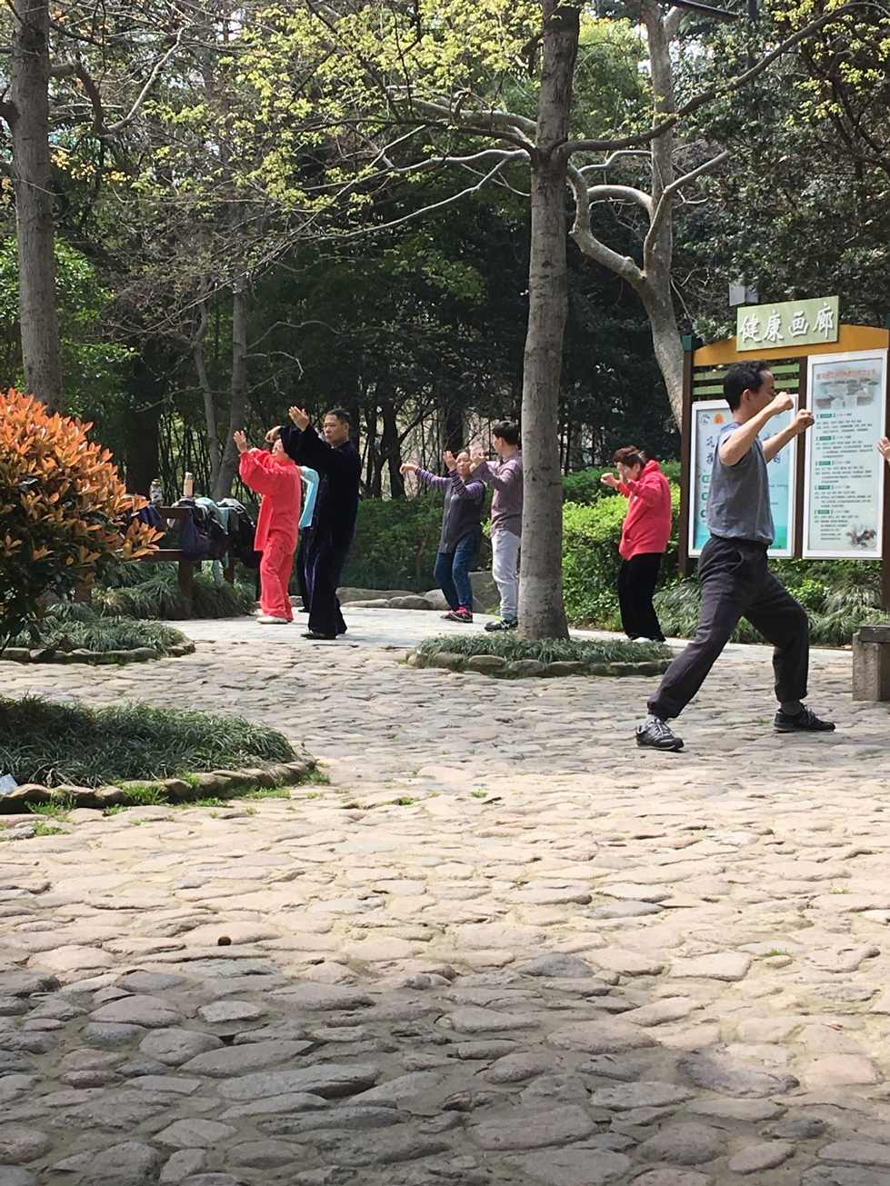 People doing Tai Chi